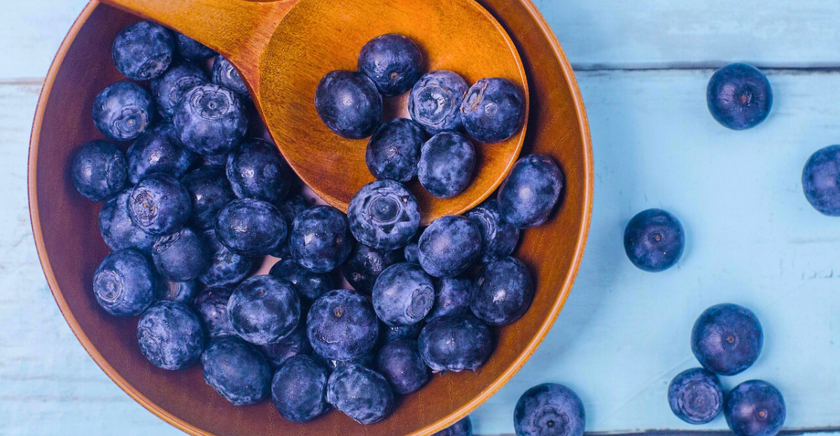 Bowl of Blueberries